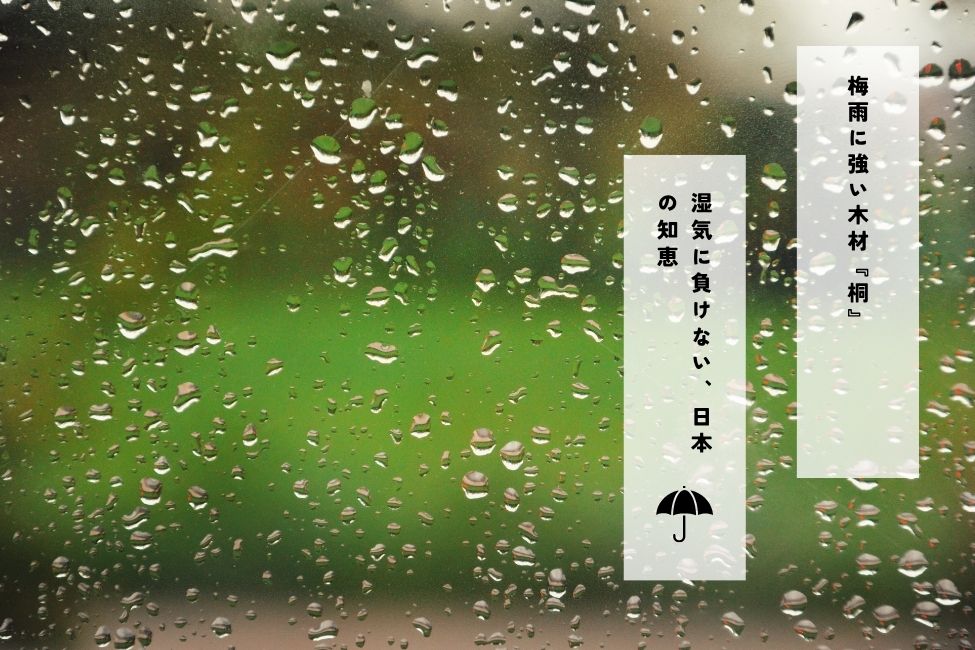 梅雨に強い木材『桐』― 湿気に負けない、日本の知恵